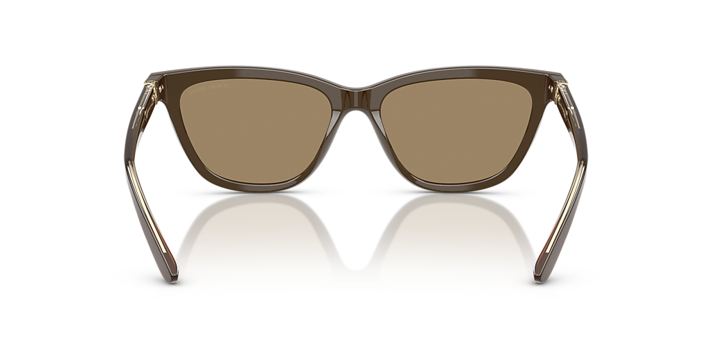 AR8221 Giorgio Armani Brown XXL