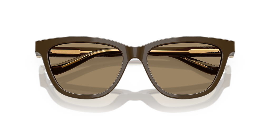 AR8221 Giorgio Armani Brown XXL