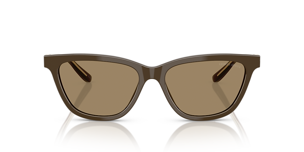 AR8221 Giorgio Armani Brown XXL