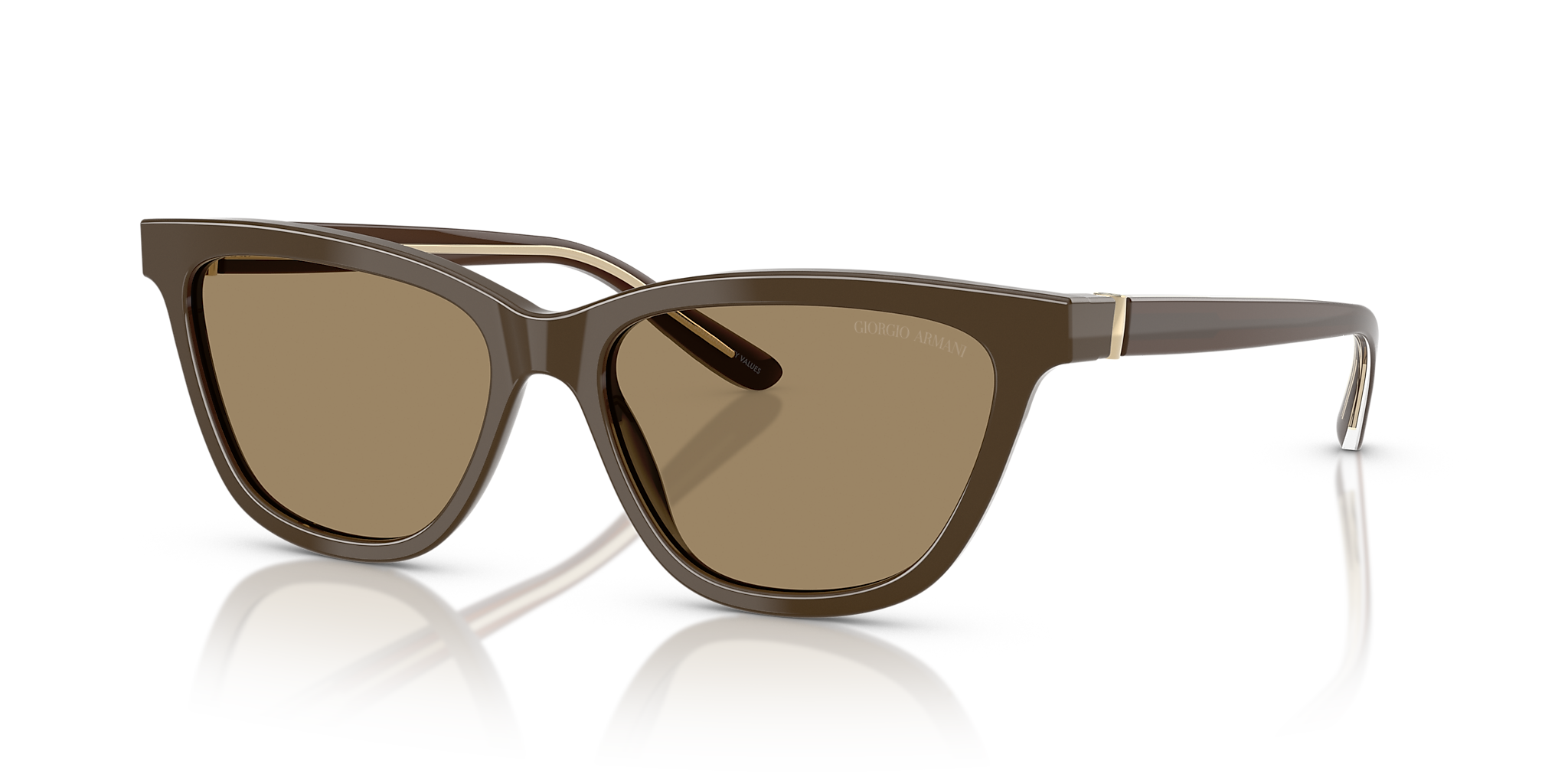 AR8221 Giorgio Armani Brown XXL