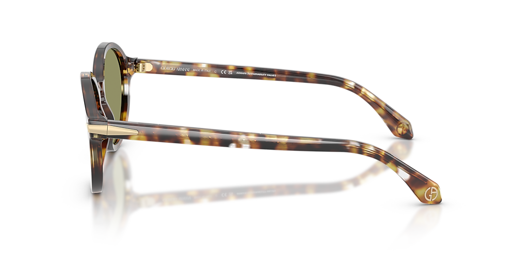AR8237 Giorgio Armani Tortoise/Green S