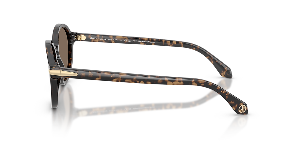 AR8237 Giorgio Armani Tortoise/Brown S