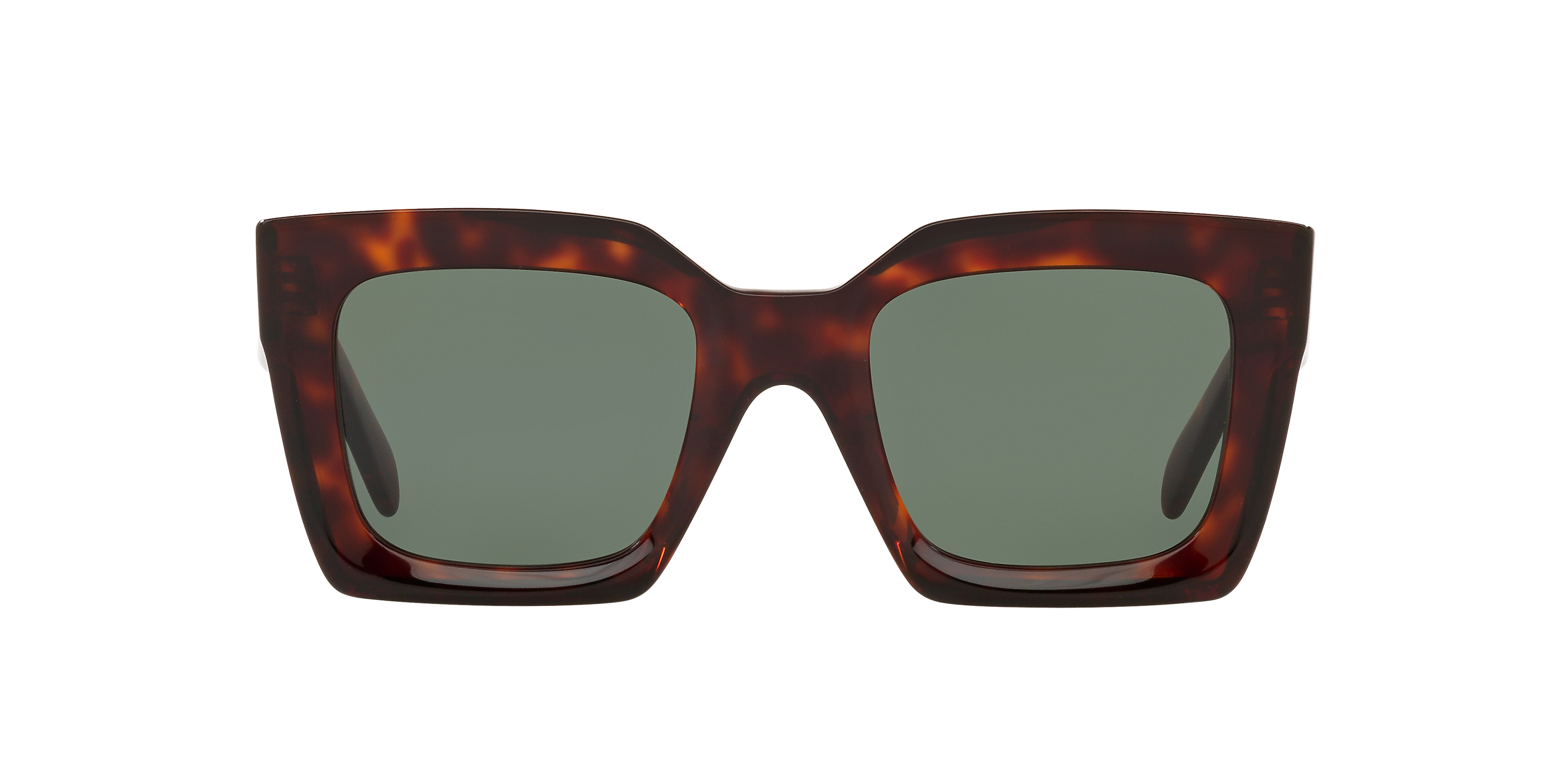 CL000245 Tortoise/Green XL