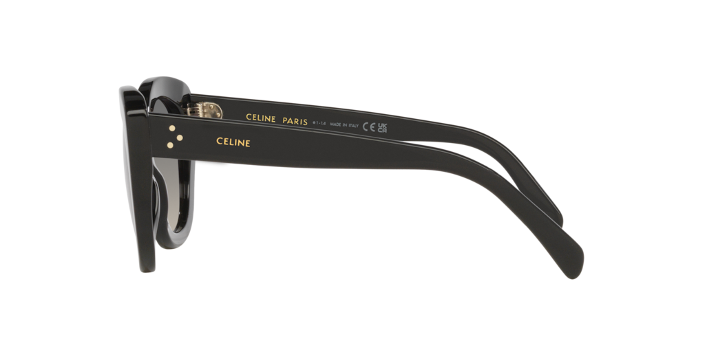 Cl40295I Celine Black/Brown M