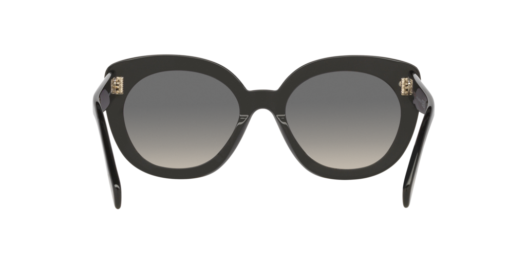 Cl40295I Celine Black/Brown M