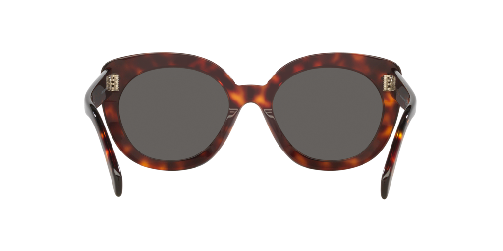 Cl40295I Celine Tortoise/Grey M