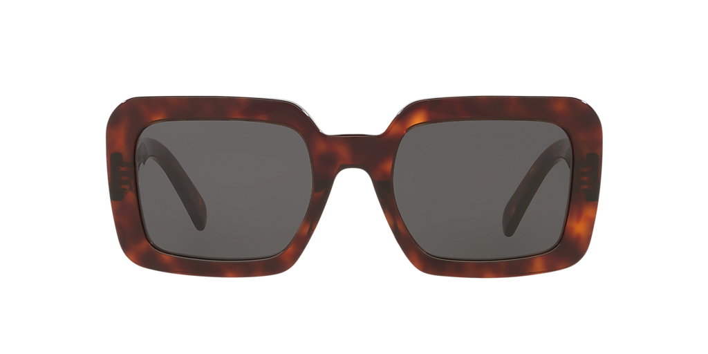 Cl40304U Celine Tortoise/Grey L