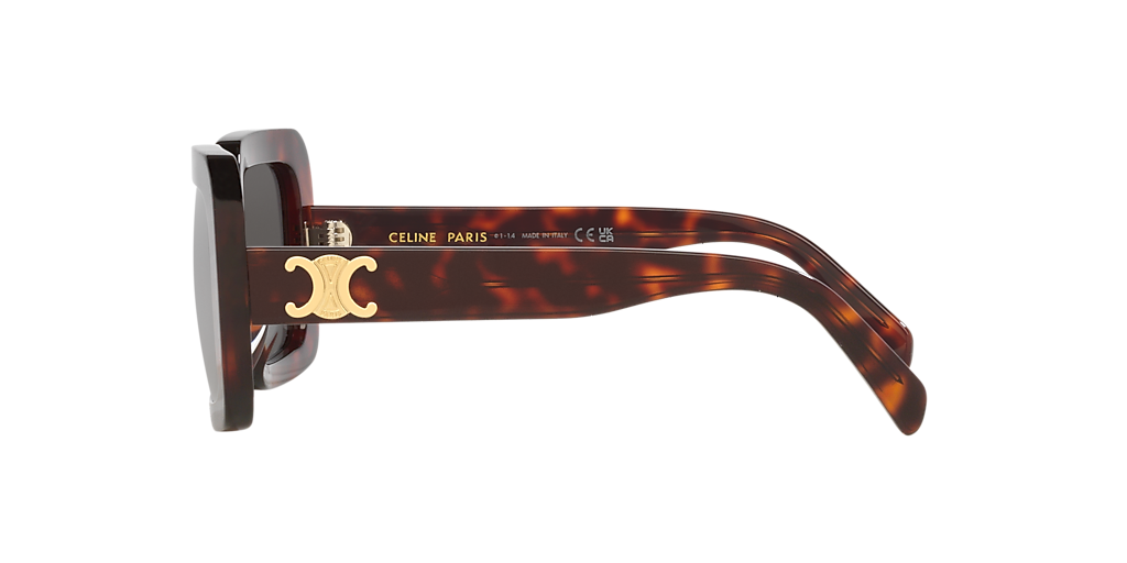 Cl40304U Celine Tortoise/Grey L