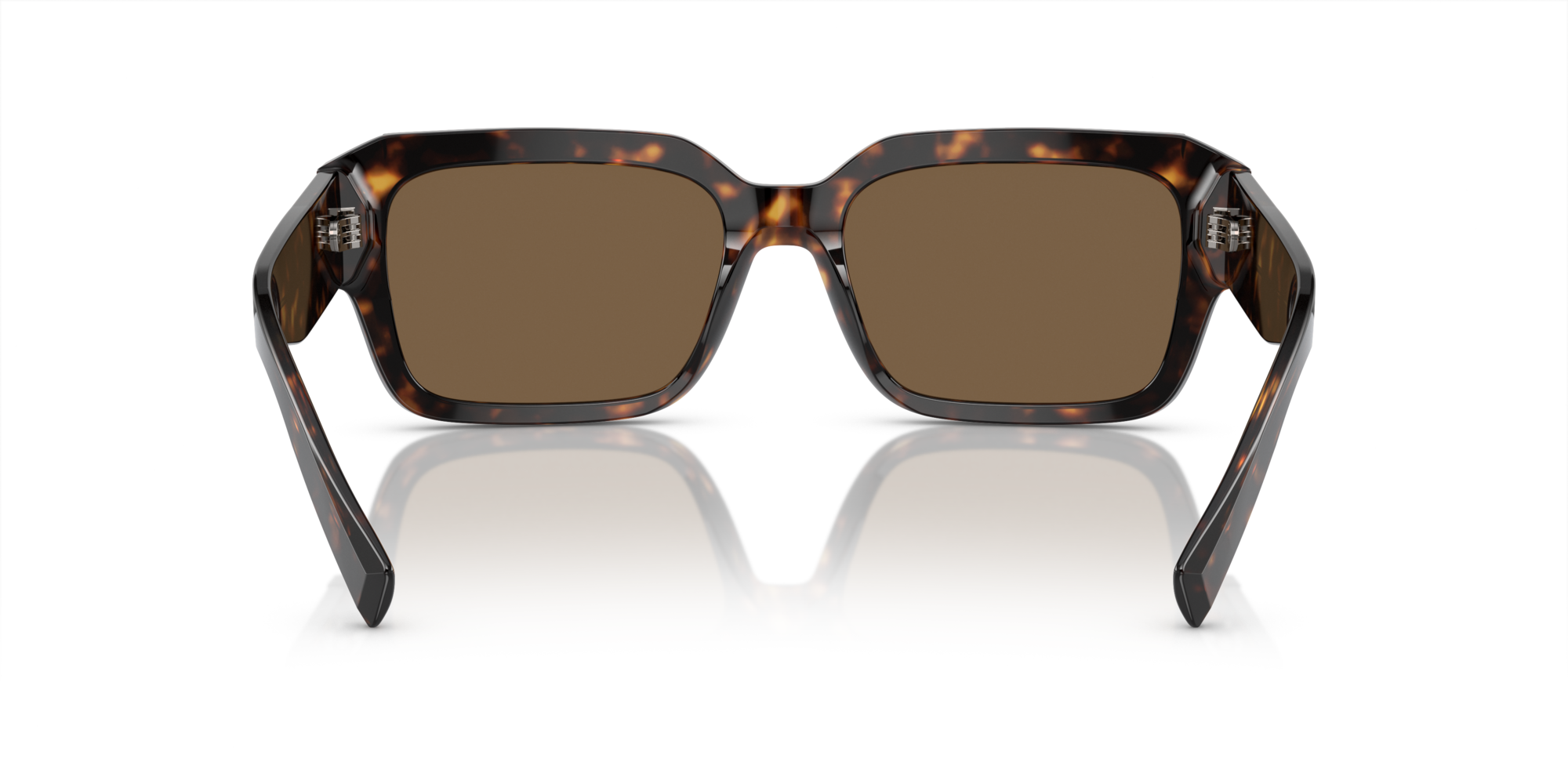 DG4460 Dolce & Gabbana Havana/Brown L