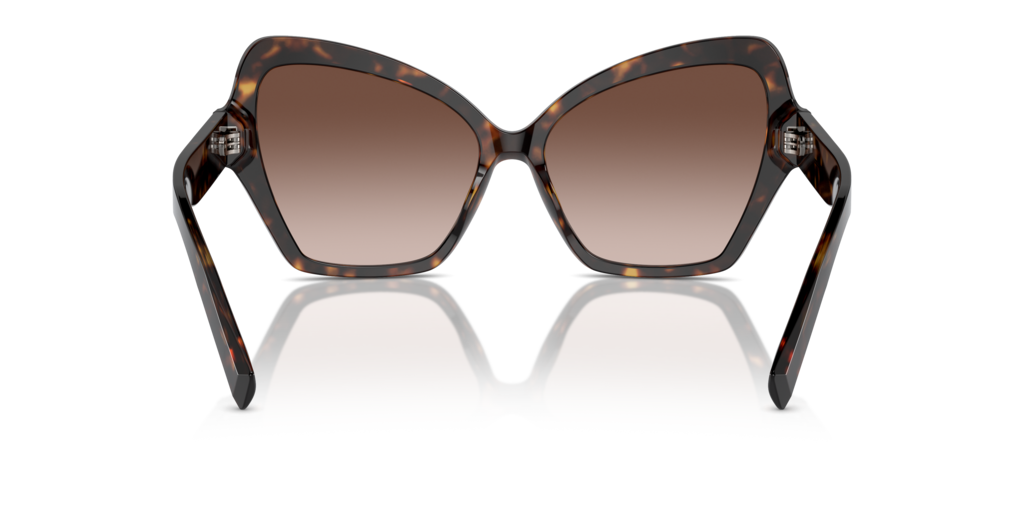 DG4463 Dolce & Gabbana Havana/Brown L