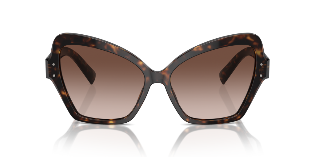 DG4463 Dolce & Gabbana Havana/Brown L