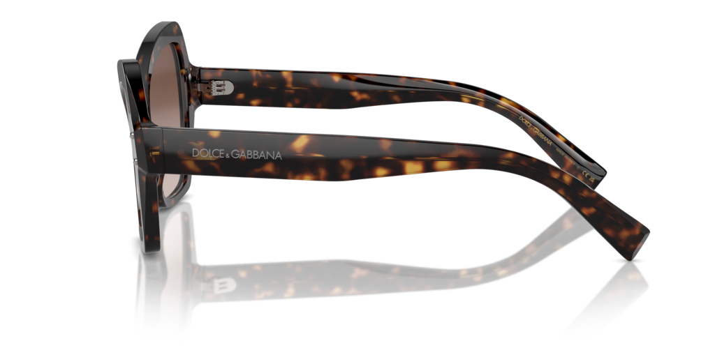 DG4463 Dolce & Gabbana Havana/Brown L