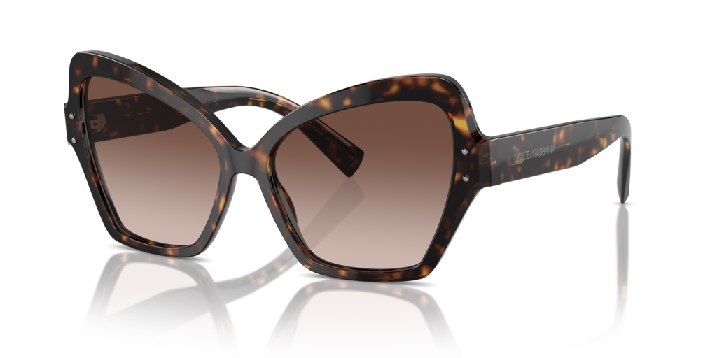 DG4463 Dolce & Gabbana Havana/Brown L