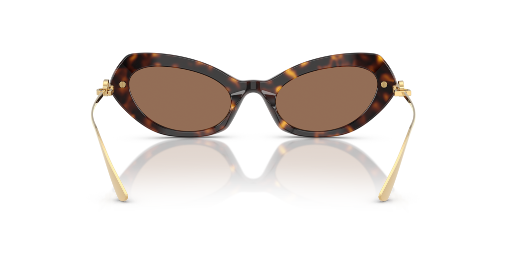 DG4473 Dolce & Gabbana havana/dark brown XL