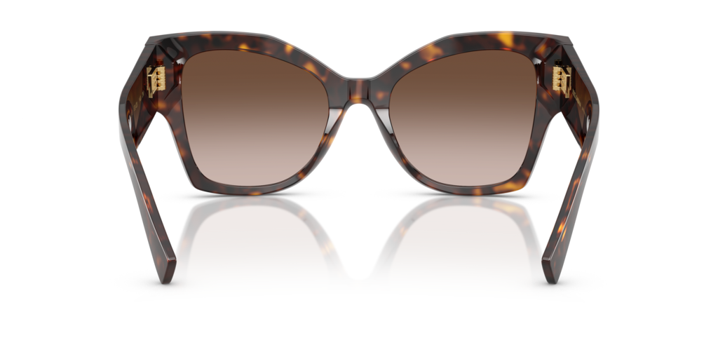 DG4478 Dolce & Gabbana Havana/Grey L