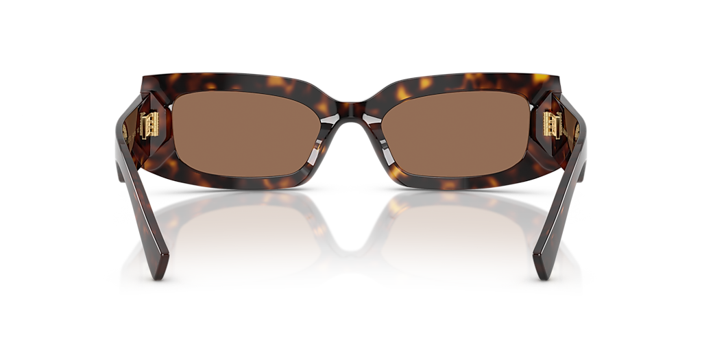 DG4479 Dolce & Gabbana Tortoise/Brown L