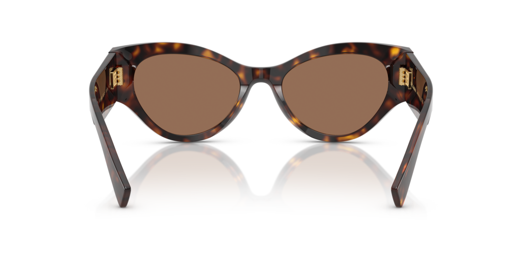 DG4479 Dolce & Gabbana Brown L
