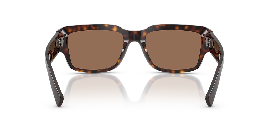 DG4483 Dolce & Gabbana Tortoise/Brown M