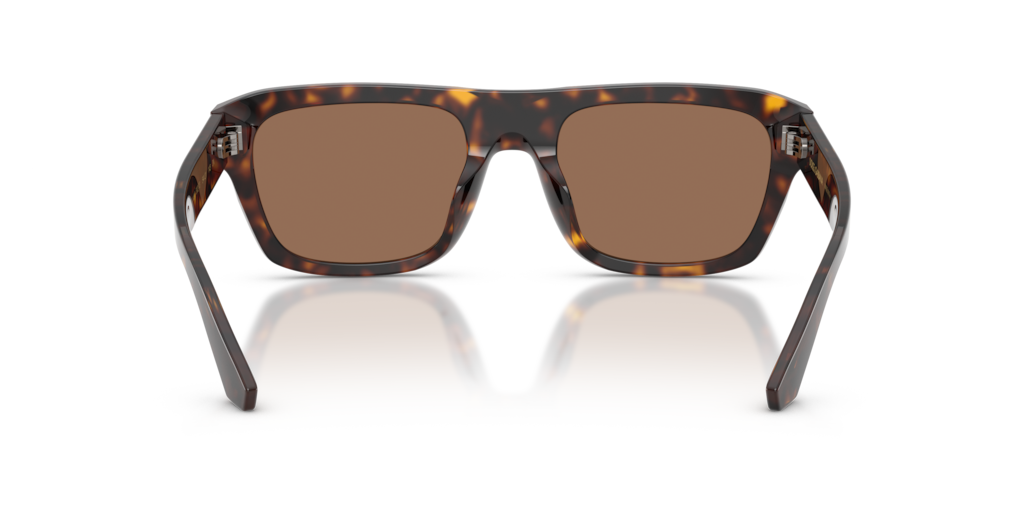 DG4496 Dolce & Gabbana Havana/Brown L