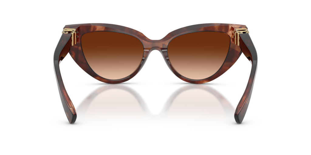 DG4497 Dolce & Gabbana Red/Brown S