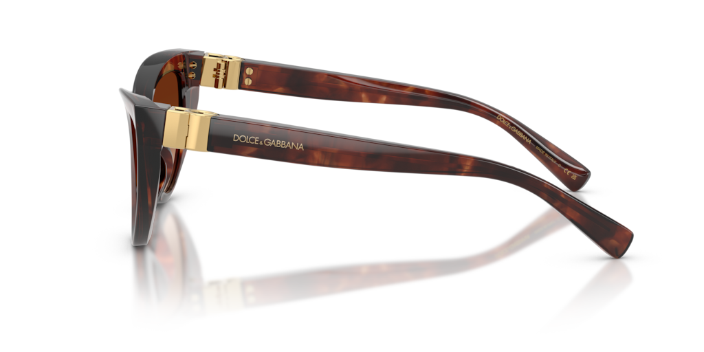 DG4497 Dolce & Gabbana Red/Brown S