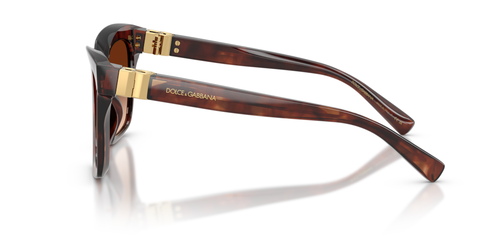 DG4498 Dolce & Gabbana Red Havana/Brown M