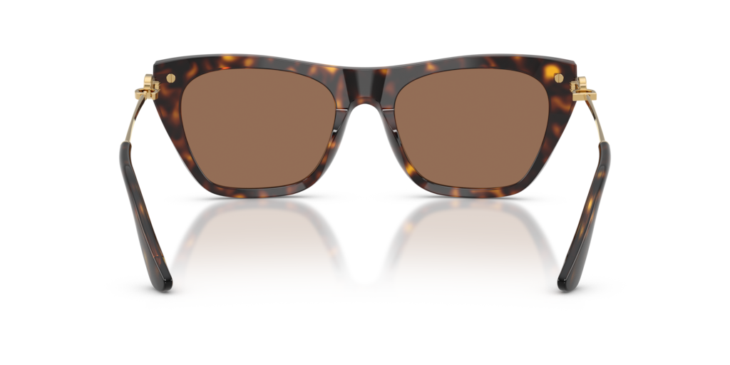 DG 4511 Dolce&Gabbana Havana/ Dark Brown