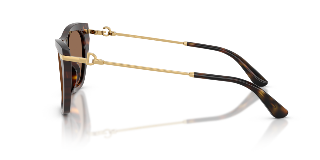 DG 4511 Dolce&Gabbana Havana/ Dark Brown