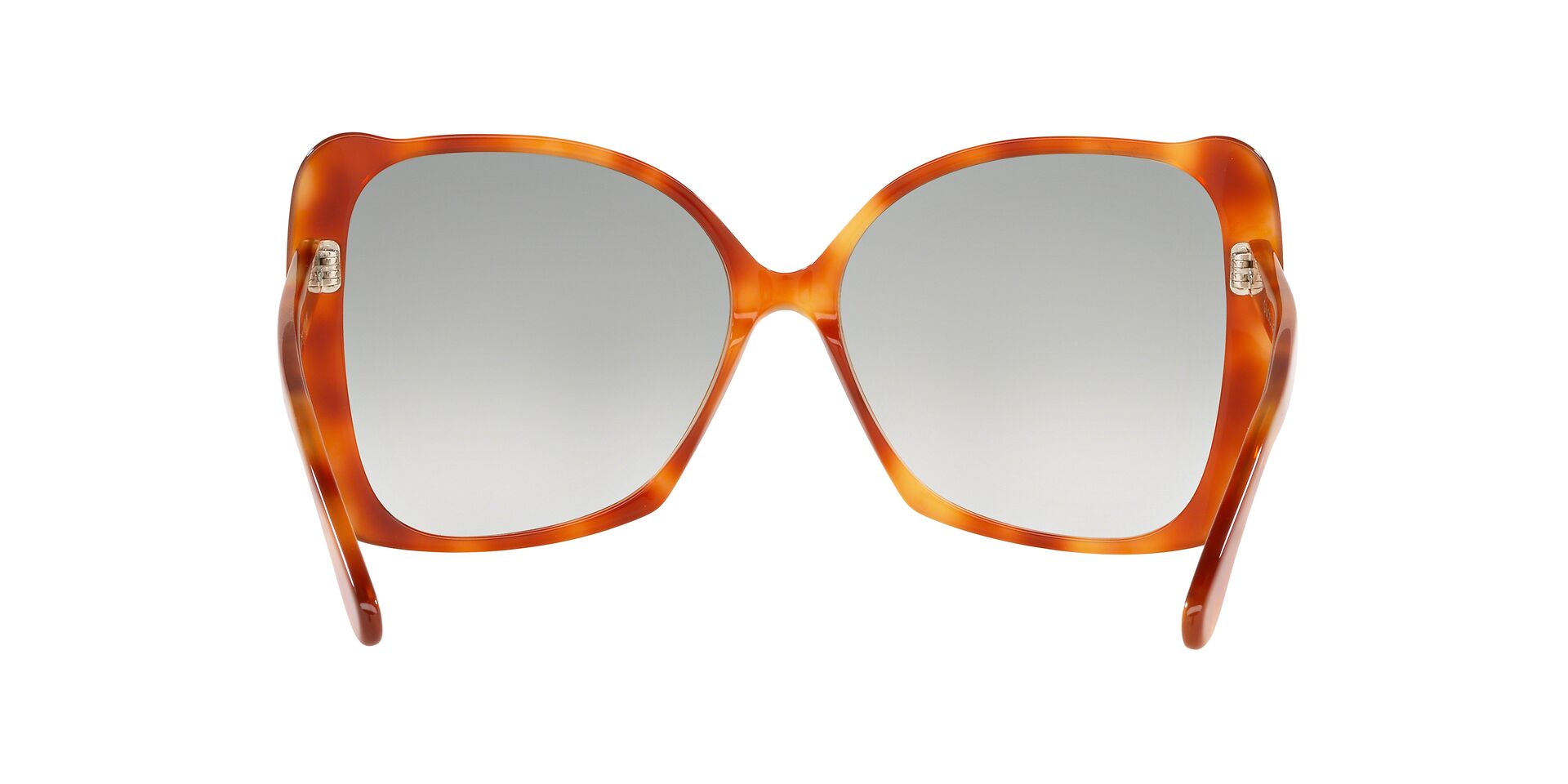 GC001204 Tortoise/Green STD