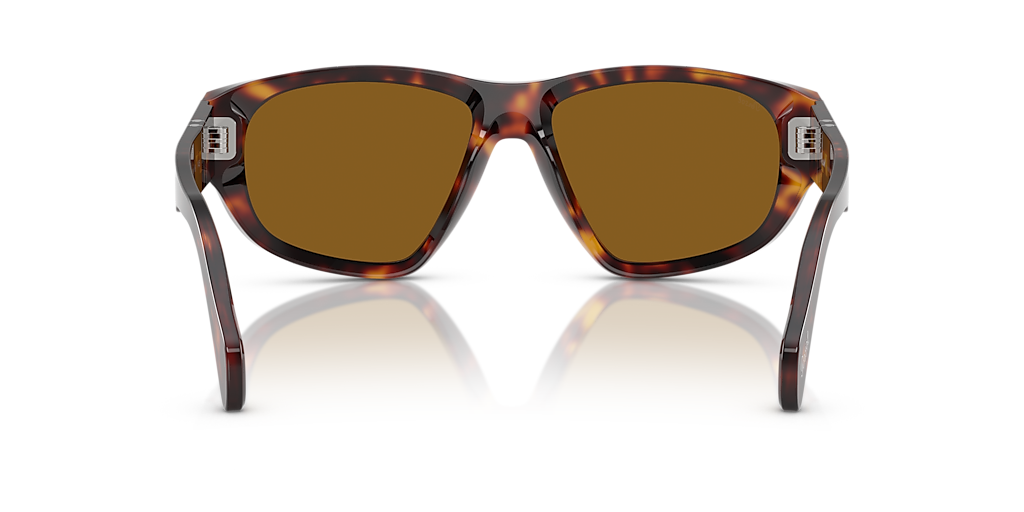 PO0050S Persol Tortoise/Brown L