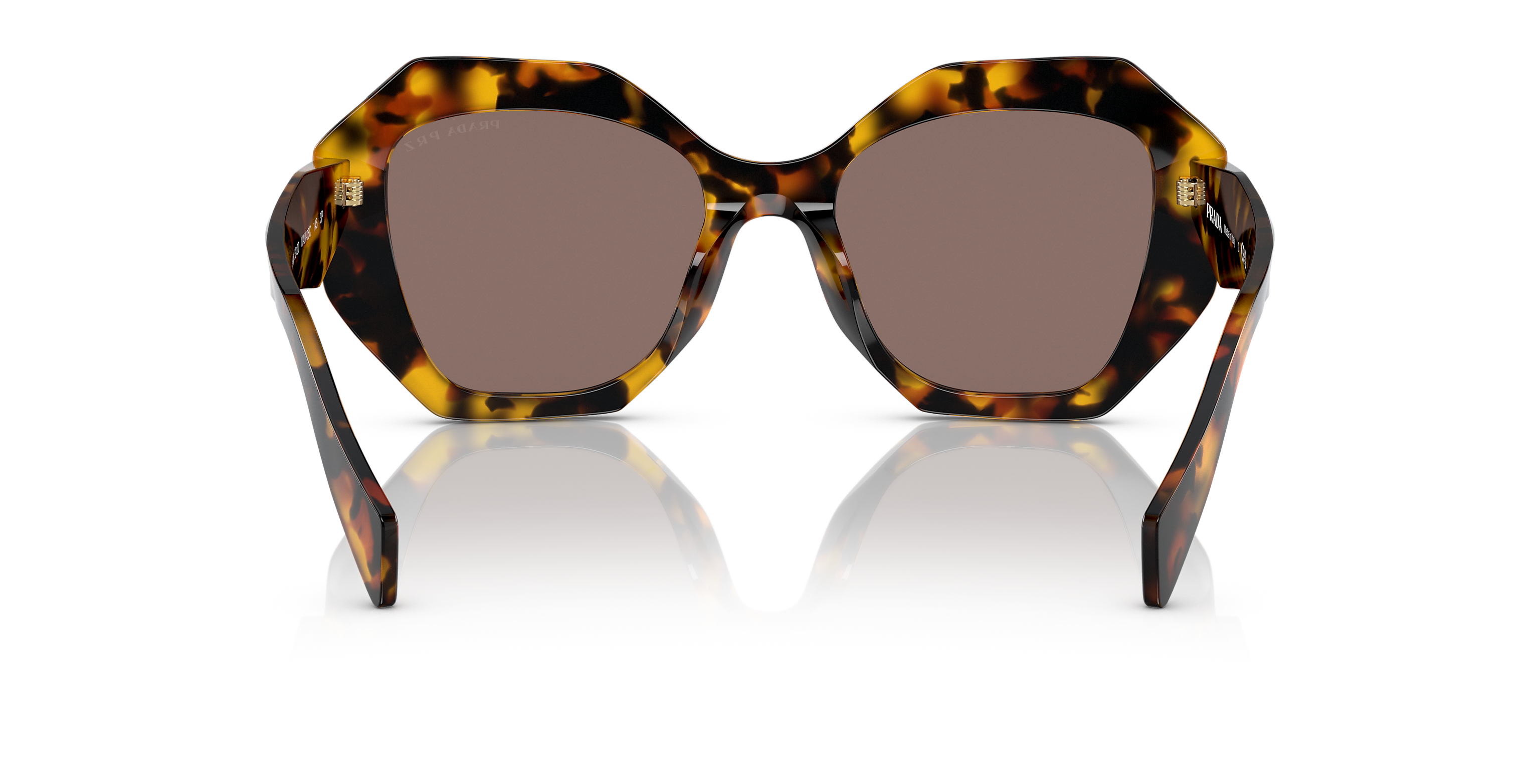 PR 16WS Tortoise/Polar Light Brown/Polarized M