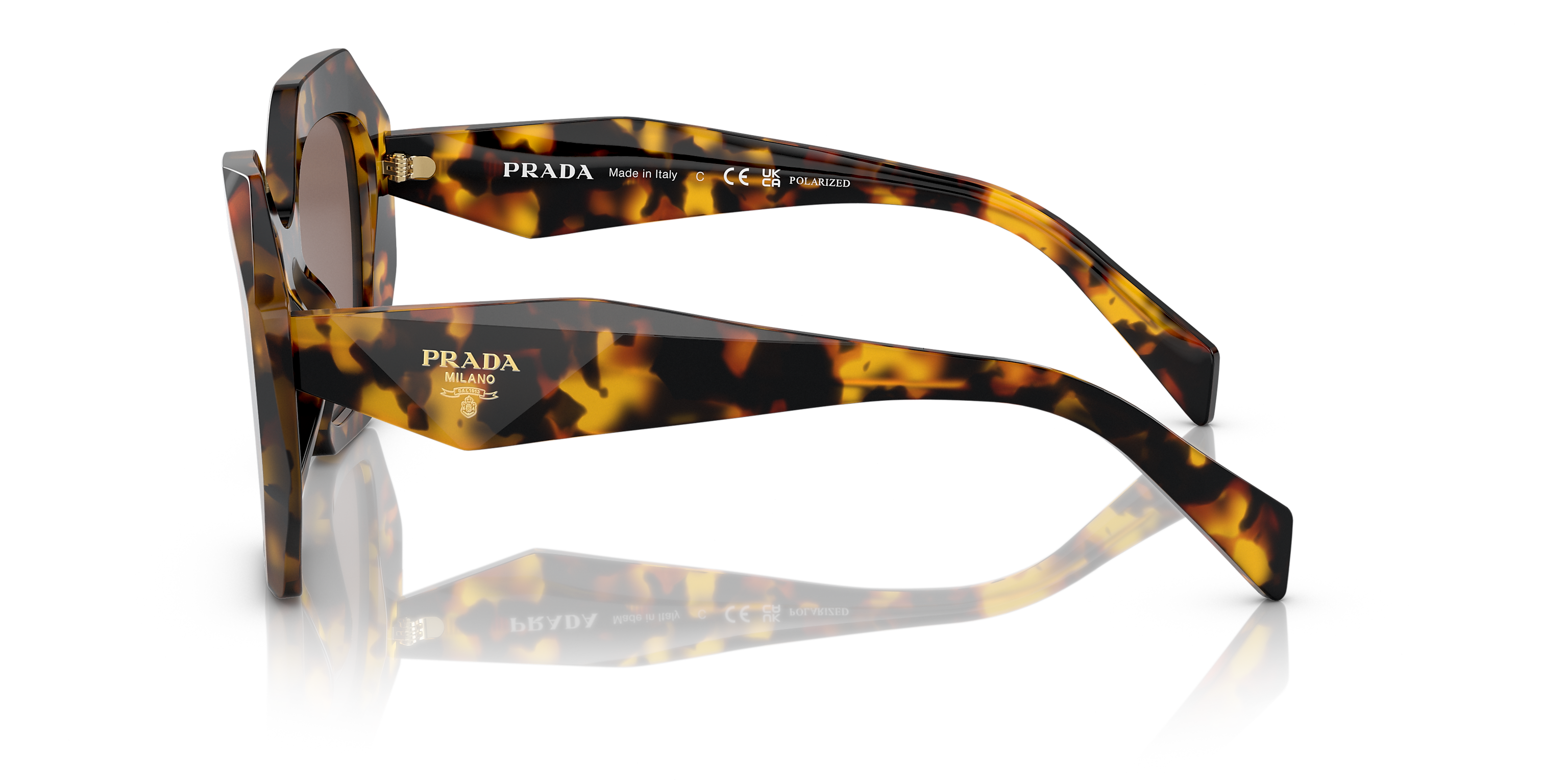 PR 16WS Tortoise/Polar Light Brown/Polarized M