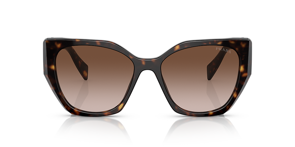 PR 19ZS Tortoise/Brown Gradient M