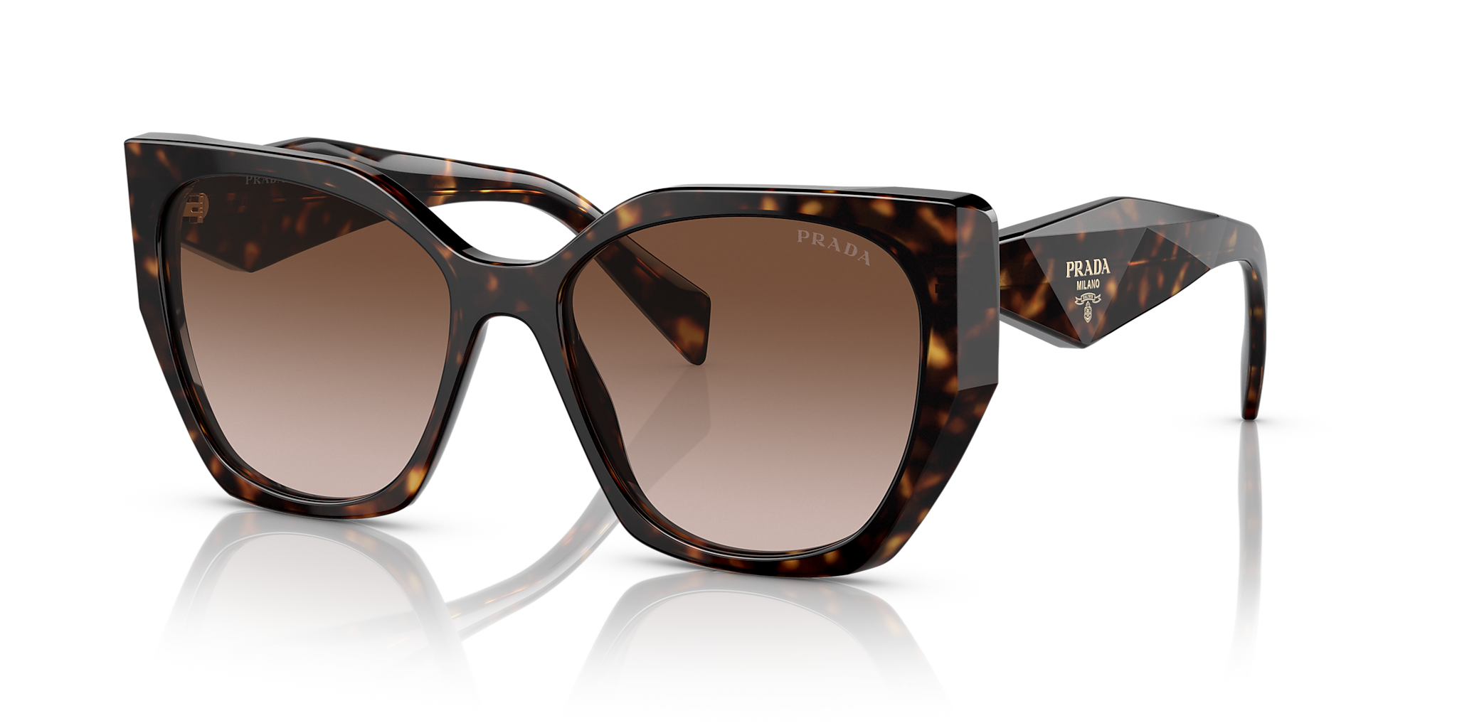 PR 19ZS Tortoise/Brown Gradient M