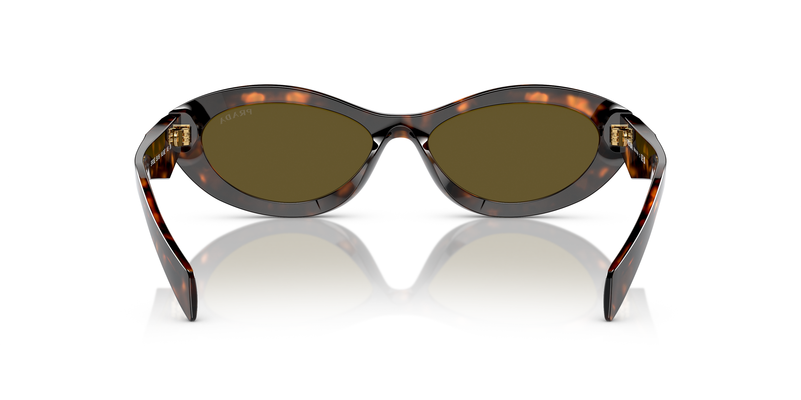 PR 26ZS Tortoise/Dark Brown M