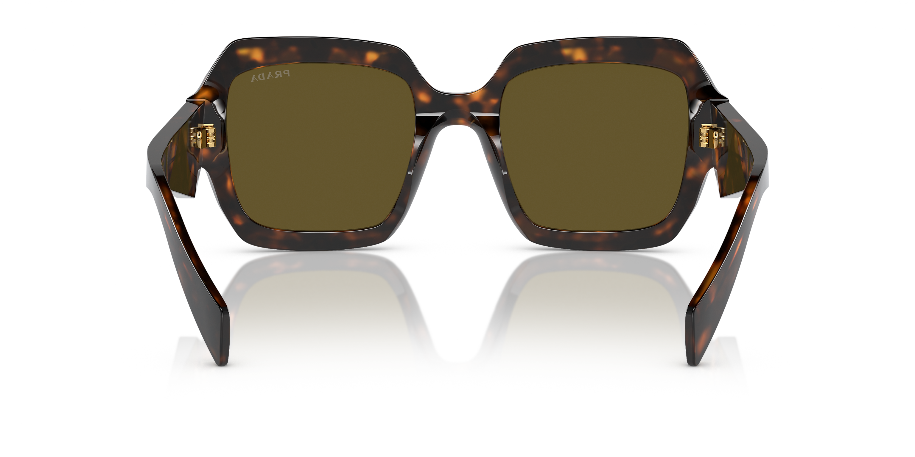 PR 28ZS Tortoise/Dark Brown M