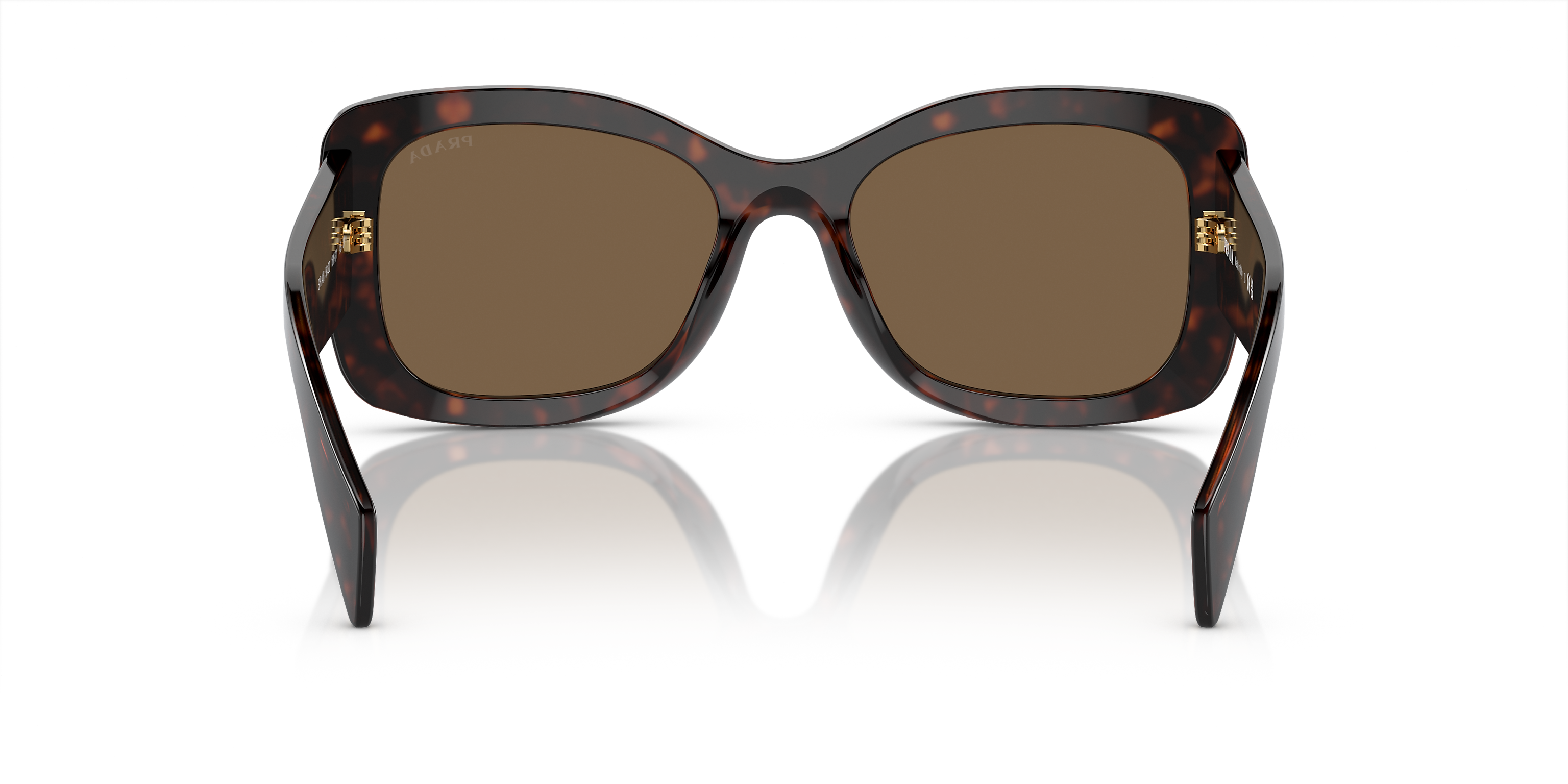 PR A08S Brown/Dark Brown Polarized M