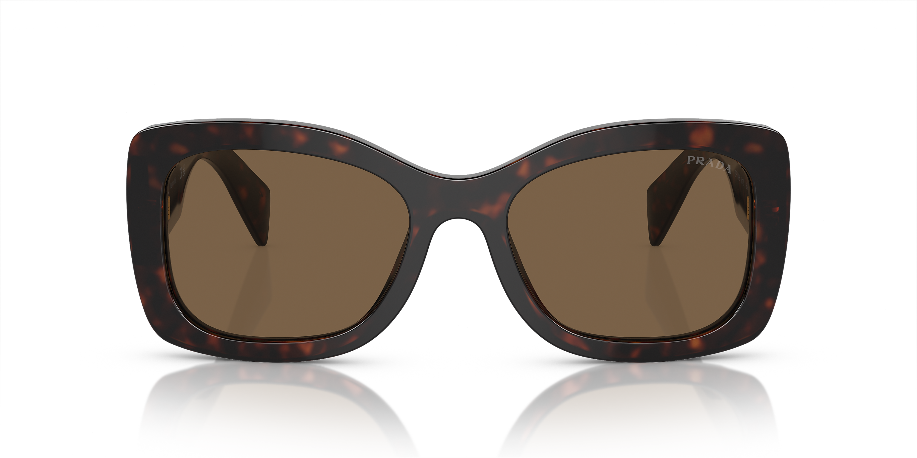 PR A08S Brown/Dark Brown Polarized M
