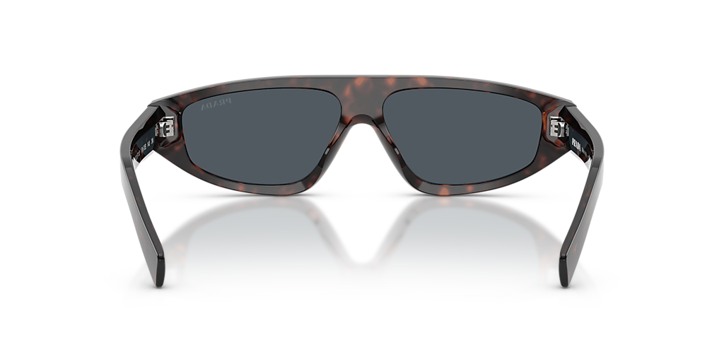 PR C02S Tortoise/Grey L