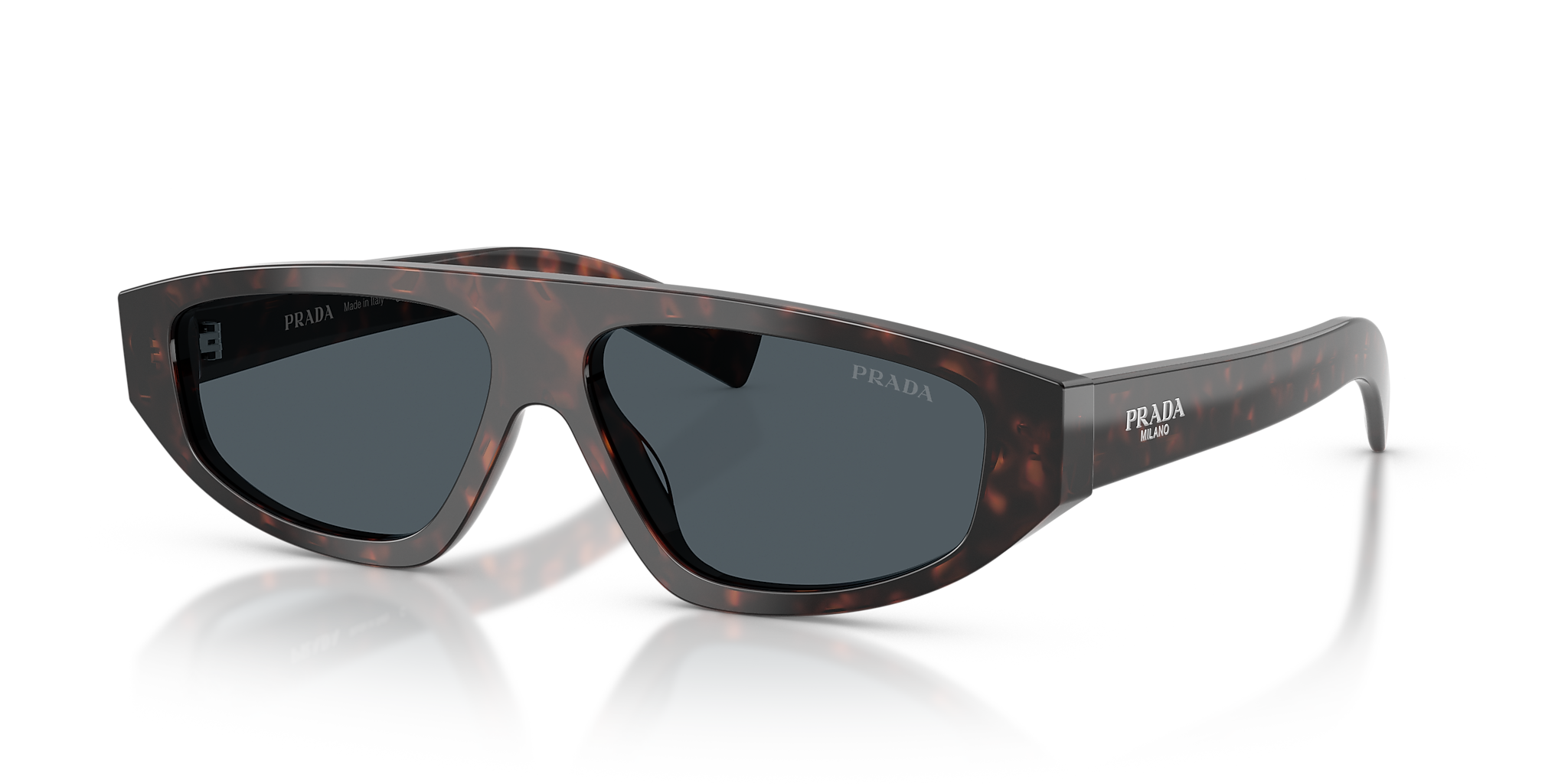 PR C02S Tortoise/Grey L