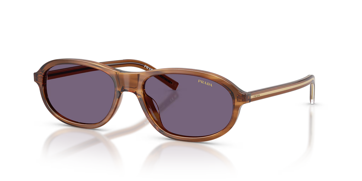 PR D20SU L (56 - 17) Violet / Brown