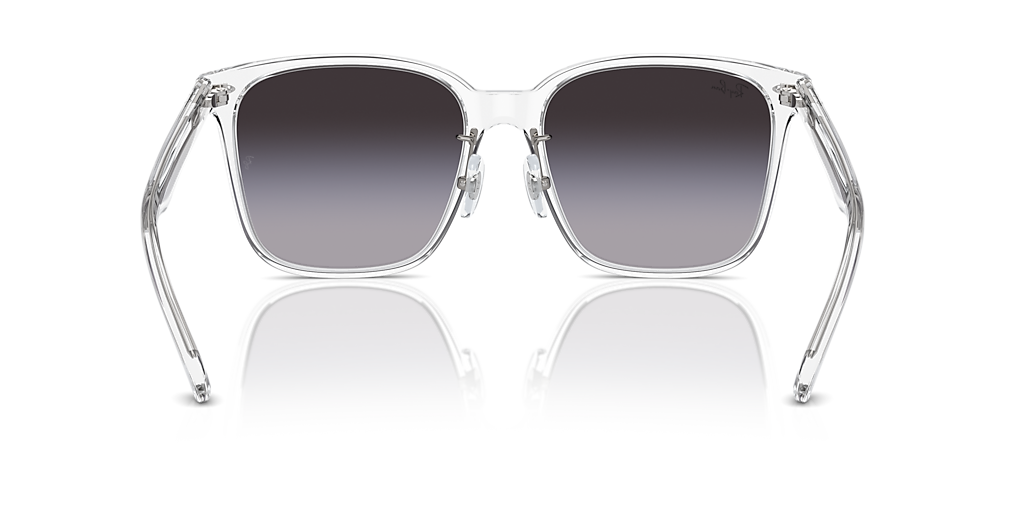 RB2206D Ray-Ban Transparent/Grey L