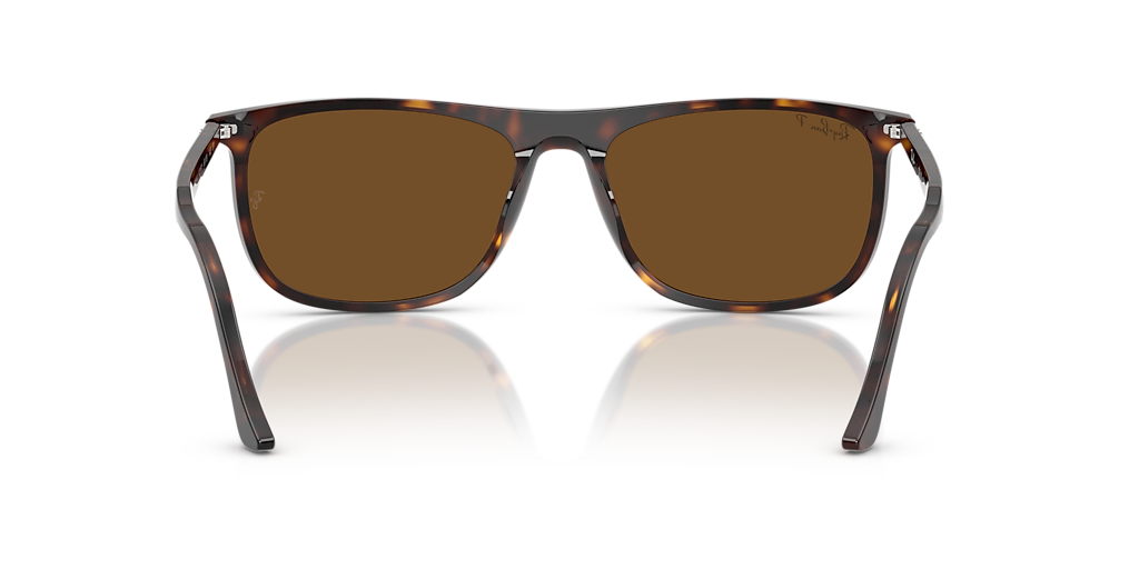 RB2216 Ray-Ban Tortoise/Brown XXL