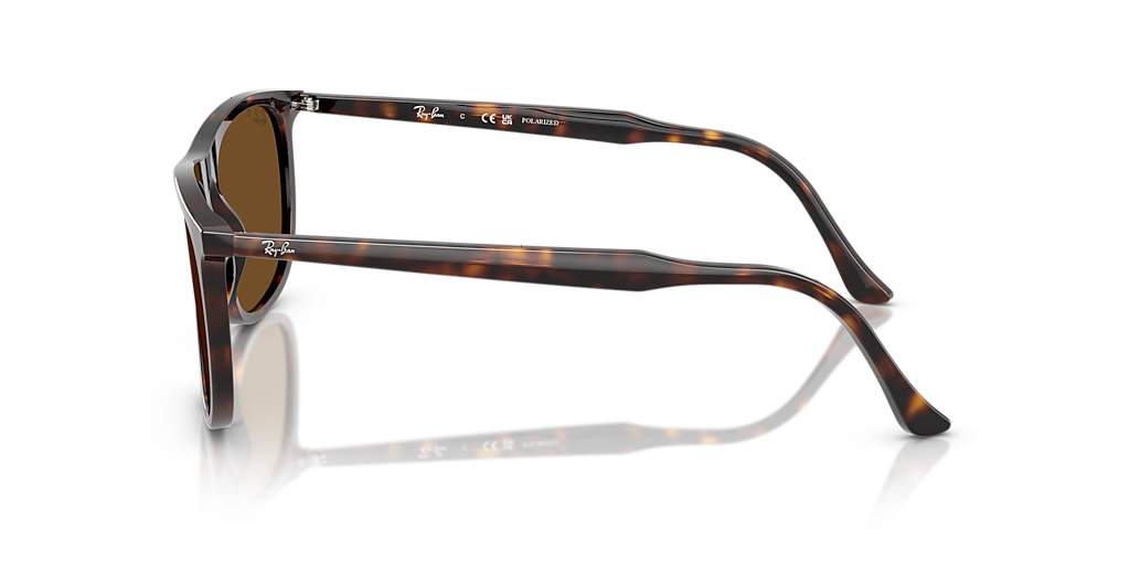 RB2216 Ray-Ban Tortoise/Brown XXL