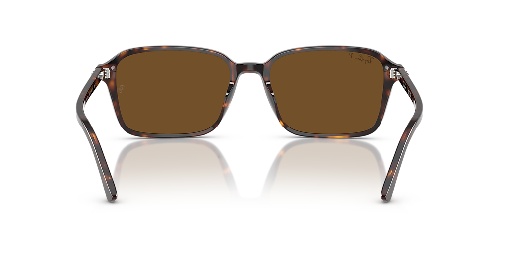 RB2231 Raimond Ray-Ban Tortoise/Brown XL