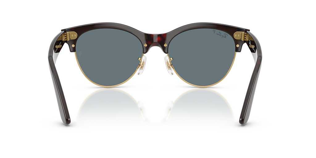RB2341 Tortoise/Dark Blue Polar/Polarized L