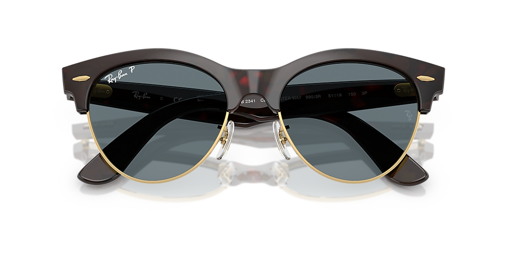 RB2341 Tortoise/Dark Blue Polar/Polarized L