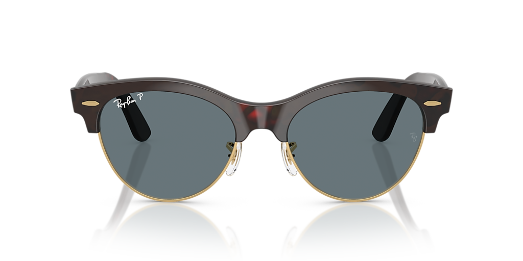 RB2341 Tortoise/Dark Blue Polar/Polarized L