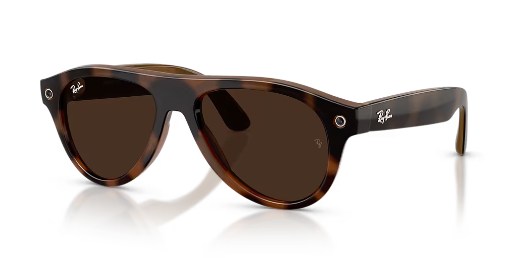 RW4016 Tortoise/Clear/Brown L