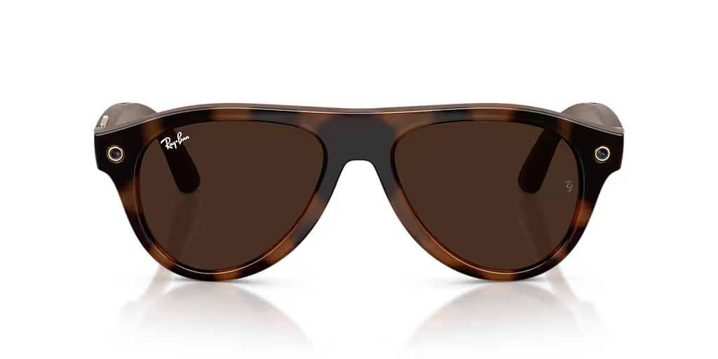 RW4016 Tortoise/Clear/Brown L